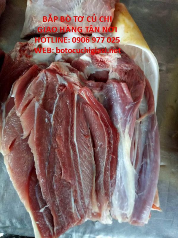 bắp bò có da