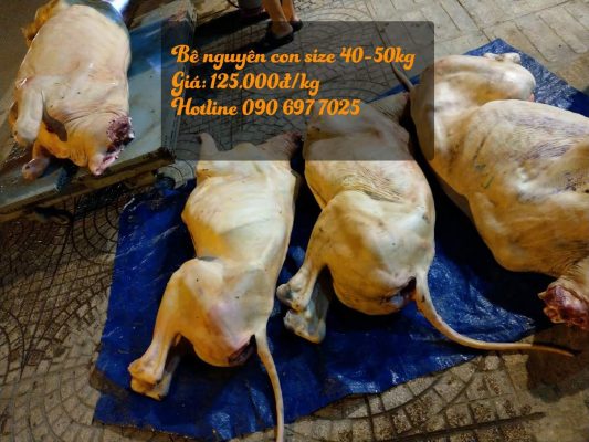 bê thui nguyên con
