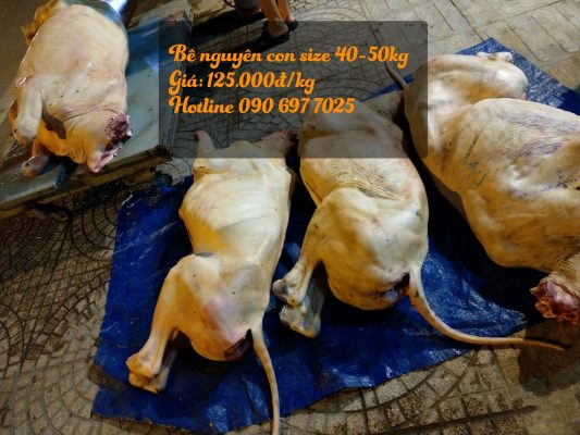 bê tươi sống